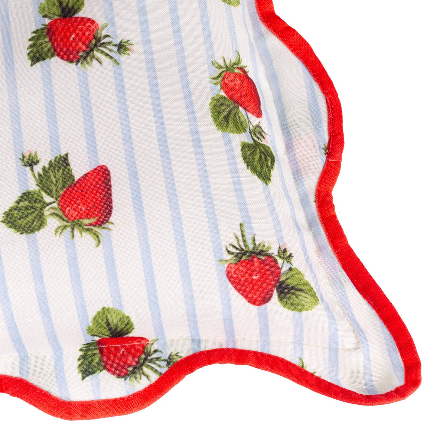 Fruits - Strawberries Striped Outdoor Cushion Blue - Cover Only               45 x 45cm